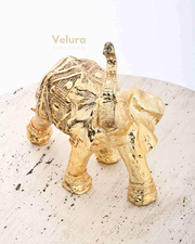 Timur (Gold Fil) Aksesuar