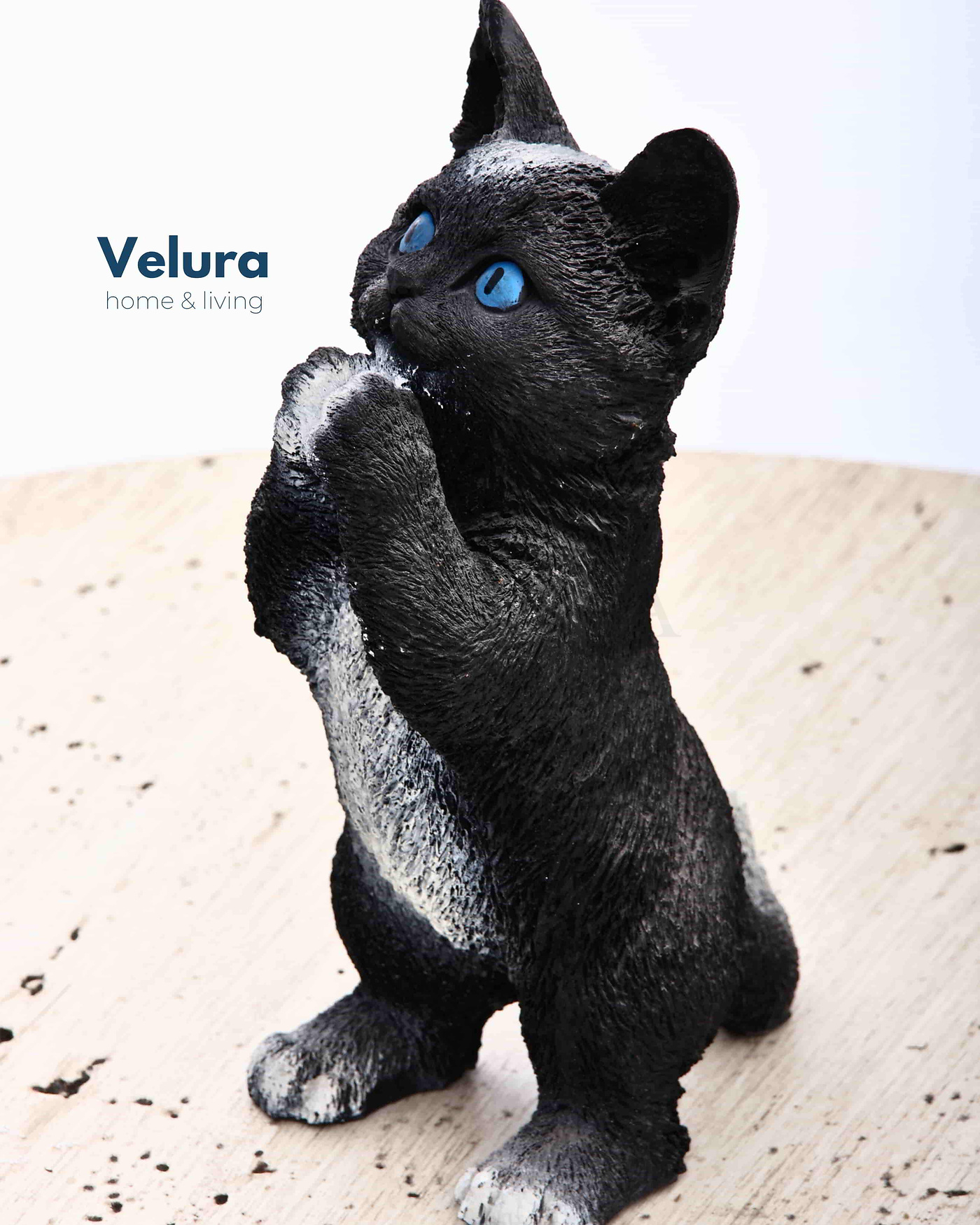 Velura Home siyah kedi aksesuar modeli