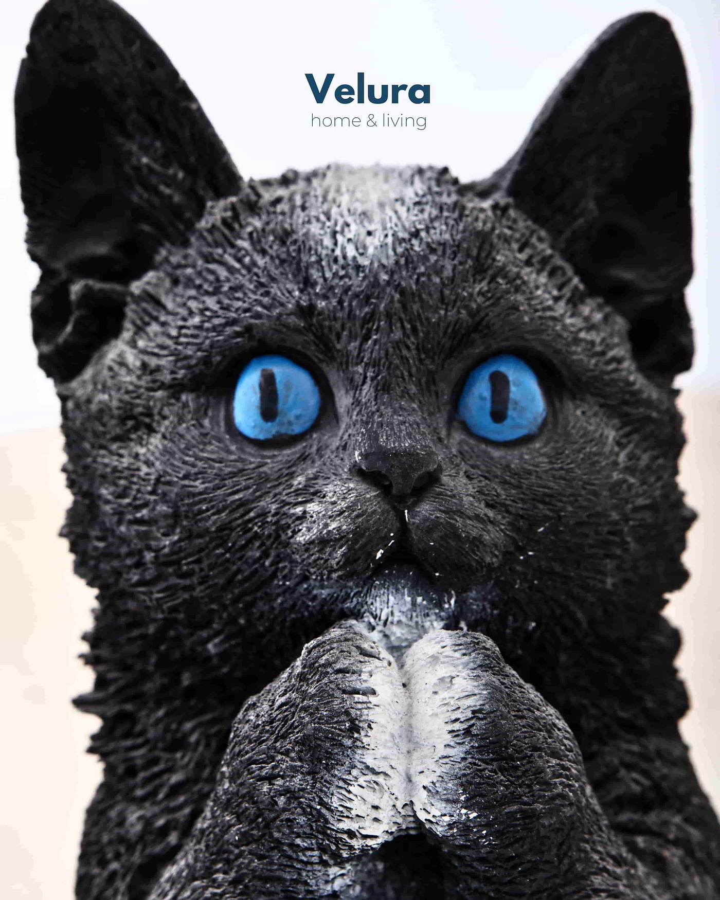 Velura Home siyah kedi aksesuar modeli