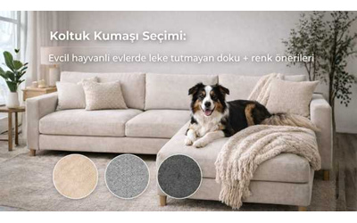 Koltuk Kumaşı Seçimi: Evcil hayvanlı evlerde leke tutmayan doku + renk önerileri