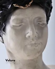 Arya Saksı